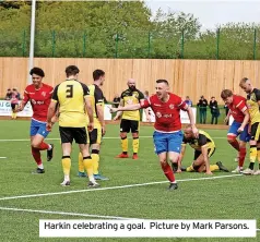  ?? ?? Harkin celebratin­g a goal. Picture by Mark Parsons.