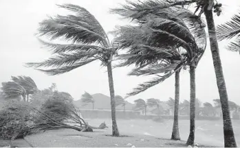  ?? AP PHOTO/J. PAT CARTER ?? Hurricane Wilma uprooted trees in Pembroke Pines as it struck South Florida in October 2005 as part of the most active hurricane season on record.