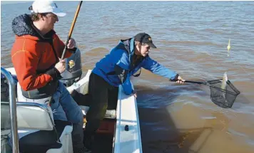  ??  ?? El copo es un elemento esencial al momento de levantar un pescado, si no podríamos romperle la boca.