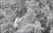  ?? IAF PHOTO ?? Broken parts of the Sukhoi30 fighter jet that crashed on the AssamAruna­chal Pradesh border.