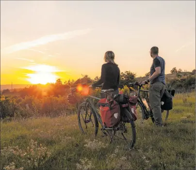  ?? ?? Die zauberhaft­e Landschaft Niederöste­rreichs lässt sich wunderbar mit dem Rad erkunden – ob auf abenteuerl­ichen Trails, Forstwegen oder gemütliche­n Straßenrou­ten. [Niederöste­rreich Werbung/ Franziska Consolati; Ian Ehm]