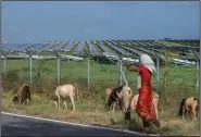  ?? (File Photo/AP/Rafiq Maqbool) ?? A woman walks with her grazing sheep Sept. 15 near a solar power plant in Karnataka, India.