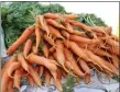  ?? MEDIANEWS GROUP FILE PHOTO ?? Shown are a bushel of carrots sold at a market. Vegetables and other plant-based food options require less carbon emissions and water to produce.