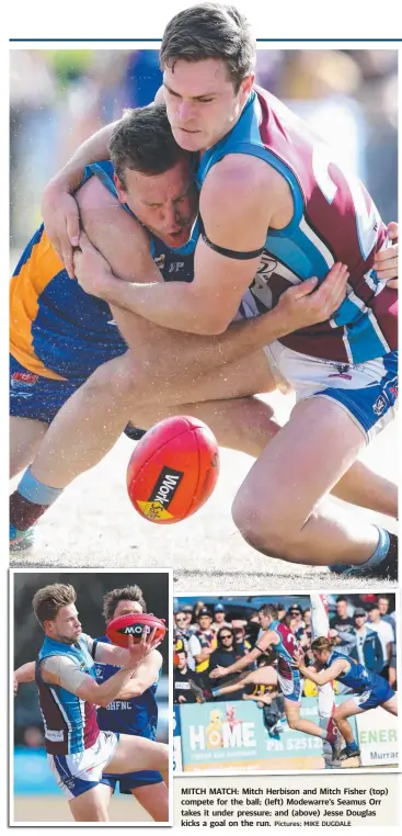  ?? Pictures: MIKE DUGDALE ?? MITCH MATCH: Mitch Herbison and Mitch Fisher (top) compete for the ball; (left) Modewarre’s Seamus Orr takes it under pressure; and (above) Jesse Douglas kicks a goal on the run.