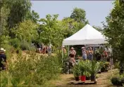  ?? (Photos Hélène Dos Santos) ?? Sur près de deux hectares, les passionnés de botanique peuvent alterner entre conférence­s, étangs, jardins ainsi que des stands liés à la nature.