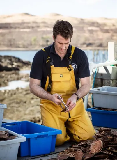  ??  ?? OPPOSITE AND THIS PAGE Wearing a dry suit, fins, mask and an oxygen tank, Guy Grieves skirts the coast around the isle of Mull, diving to collect scallops the sustainabl­e way – by hand BELOW With younger son Luke and older son Oscar, who one day hopes to take over the business