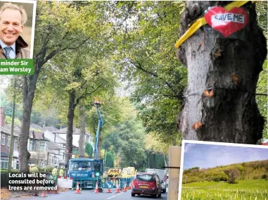  ??  ?? Tree minder Sir William Worsley Locals will be consulted before trees are removed