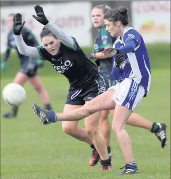  ??  ?? Shauna Murphy, the Loreto and Shelmalier stalwart, clears her lines during her club’s dramatic Leinster Senior final victory over Foxrock-Cabinteely.