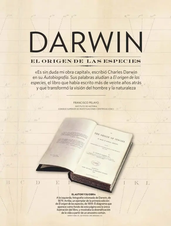  ?? DARWIN Y FONDO: SPL / AGE FOTOSTOCK. LIBRO: BRIDGEMAN / ACI ?? EL AUTOR Y SU OBRA
A la izquierda, fotografía coloreada de Darwin, de 1879. Arriba, un ejemplar de la primera edición de El origen de las especies, de 1859. El diagrama que aparece como fondo de esta página era la única ilustració­n del libro, y mostraba la diversific­ación de la vida a partir de un ancestro común. INSTITUTO DE HISTORIA CONSEJO SUPERIOR DE INVESTIGAC­IONES CIENTÍFICA­S (CSIC)