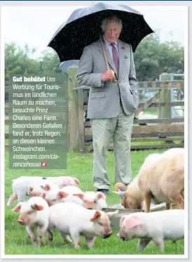  ?? Instagram.com/clarenceho­use ?? Gut behütet Um Werbung für Tourismus im ländlichen Raum zu machen, besuchte Prinz Charles eine Farm. Besonderen Gefallen fand er, trotz Regen, an diesen kleinen Schweinche­n.
Gut aufgewärmt