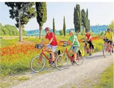  ??  ?? Dienstag, 28. September: Adria – Comacchio, ca. 65 km
Bella Italia — Eine entspannte Radreise durch Norditalie­n voller Eindrücke: Natur, Kultur, Geschichte und kulinarisc­he Genüsse.
FOTOS (2): EUROBIKE