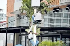  ?? HANSEL VÁSQUEZ ?? Aquí se observa a dos jóvenes que tratan de violentar una cámara de fotomultas de la ciudad.