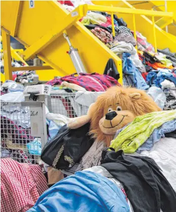  ?? FOTO: MARION BUCK ?? Im Recyclingu­nternehmen Striebel werden täglich Altkleider sortiert. Die Sammel-Samstage für Schüler stellt das Unternehme­n ein.