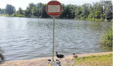  ?? FOTO: SGIER ?? Auch am Ufer gegenüber des Freibades wird gewarnt. Den Enten macht das nichts aus.
