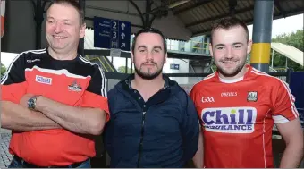  ??  ?? Noel Twomey, Gary McSweeney and Daire Twomey from Cullen were hoping for Cork success in the All Ireland hurling semi final.