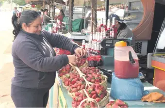  ?? ?? La Expo Frutilla se despide el domingo en Areguá. Habrá remate de productos, anunciaron.