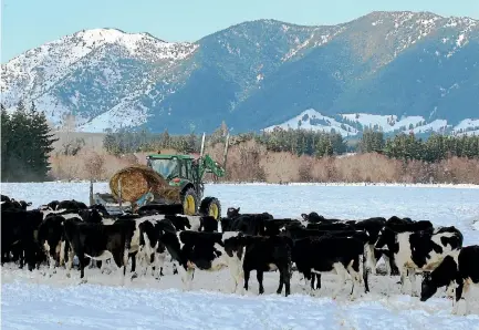  ??  ?? The Government’s review of the dairy industry would include its environmen­tal impact, land use, and Fonterra’s obligation to collect milk.