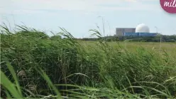  ??  ?? ABOVE Sizewell power station through the reeds