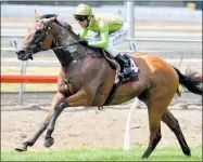  ?? Photo / Race Images ?? Superiorit­y winning at Pukekohe last Wednesday.