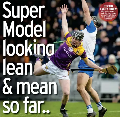 ?? ?? STRAIN EVERY SINEW Wexford’s players look like they have been giving it their all in this League
campaign