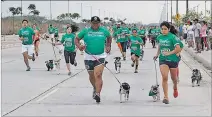  ?? ARCHIVO ?? Competenci­a. Una carrera con perros denominada Perratón, en 2014.