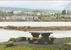  ?? ARLEN REDEKOP ?? A view of Haney across the Fraser River is seen at Derby Reach Regional Park in Langley. The park offers scenic trails to explore along the Edgewater section and a forest loop along the Houston Trail.