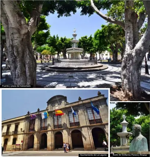  ??  ?? Fuente y plaza del Adelantado Ayuntamien­to de La Laguna Busto de Guillermo Perera y Álvarez