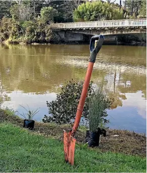  ??  ?? ‘‘Only native trees can contribute to the biodiversi­ty of our land, speak to our cultural and spiritual values and create the iconic nature scenes that draw locals and tourists to our scenic places.’’