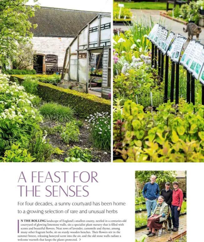  ??  ?? › Peter Bench, his wife Christine, sister Sally and mother Nancy, owners of The Herb Nursery.