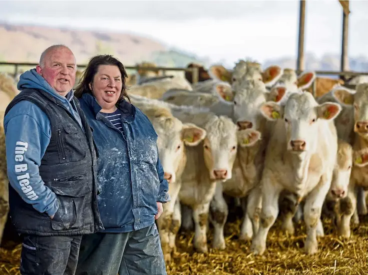  ?? ?? TEAMWORK MAKES THE DREAMWORK: Husband-and-wife stockman duo Davie and Tracey Nicoll with some of the Balthayock Charolais herd. Pictures by Kenny Smith.