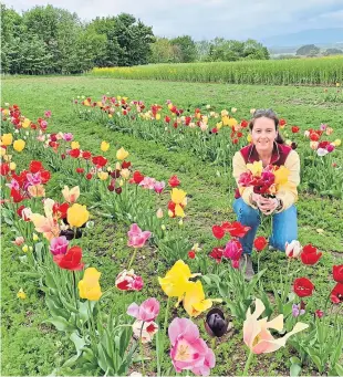  ??  ?? Kym McWillian of Haughhead Farm with pick-your-own flowers