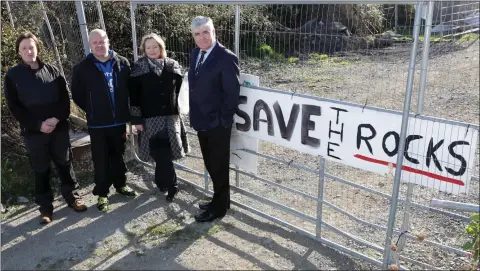  ??  ?? MEP Nessa Childers visiting The Rocks site at Priestnewt­own last week with Stephen Kelly, Brendan Smyth and Cllr Tom Fortune.