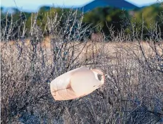  ?? EDDIE MOORE/JOURNAL ?? A plastic bag is stuck to a bush in Eldorado outside Santa Fe.