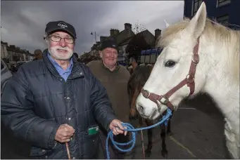  ?? Castleisla­nd native, Tralee resident, Eddie Hayes (left) with Martin O’Halloran from Kilflynn at the 2016 November 1st fair. Photo by John Reidy ??