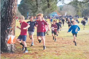  ?? Photo / Taupō Orienteeri­ng Club ?? Racing to the first control at the Big Rogaine Day Out on July 6.