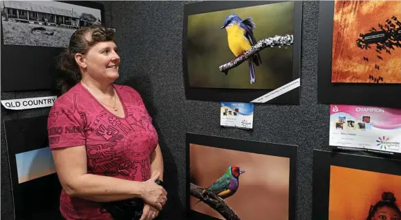  ?? Photo: Matthew Newton ?? SHUTTERBUG: Michelle Ruthenberg with her prize-winning photos of an eastern yellow robin (top) and gourdian finch (bottom) at the Toowoomba Show.