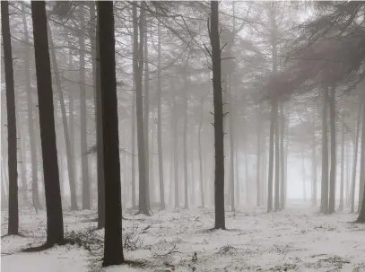  ??  ?? BelowPEAK DISTRICT “since starting out i’d never managed to get out in snowy winter conditions to capture woodland images. i drove for two hours and walked three miles through blizzards”