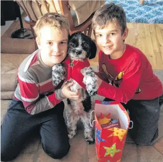  ??  ?? Twelve-year-old Joshua Pardy (left) and his nine-year-old brother, Jonathan, of Conception Bay South, N.L., are overjoyed to have their pet dog, Obi, back after the three-year-old Shih Tzu went after an accident in western Newfoundla­nd last week.