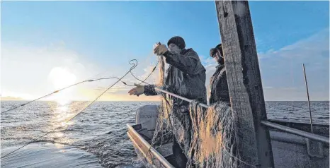  ?? FOTO: DPA ?? Die Berufsfisc­her ziehen deutlich weniger Fische aus dem Bodensee als noch vor zwei Jahrzehnte­n.