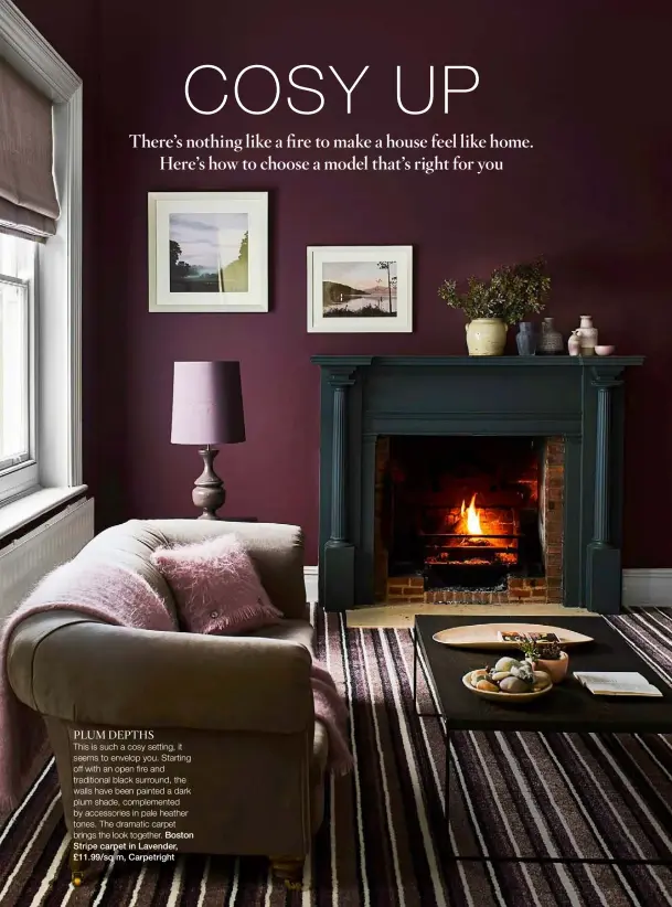  ??  ?? PLUM DEPTHS This is such a cosy setting, it seems to envelop you. Starting off with an open fire and traditiona­l black surround, the walls have been painted a dark plum shade, complement­ed by accessorie­s in pale heather tones. The dramatic carpet brings the look together. Boston Stripe carpet in Lavender, £11.99/sq m, Carpetrigh­t