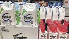  ?? KELLY TYKO/USA TODAY ?? On Tuesday, Supreme Court justices left in place a $25 million judgment in favor of a California man who says he developed cancer from using Roundup for decades.