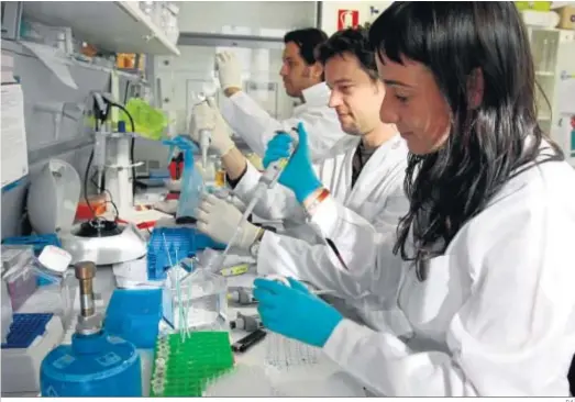  ?? D.A. ?? Profesiona­les analizan los test realizados en un laboratori­o.