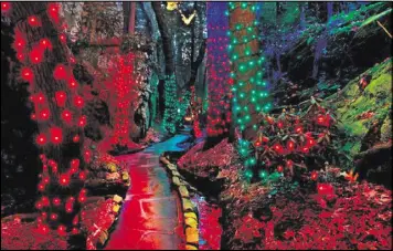  ??  ?? LEFT: Don’t miss the amazing Enchanted Garden of Lights at Rock City.