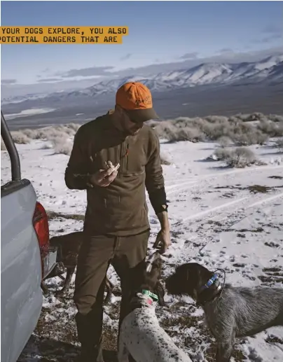  ??  ?? Above: Locate a safe spot to pull over off the highway to take a break. Your dogs can run around a bit while you enjoy a snack.