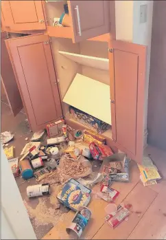  ?? PROVIDED BY MELISSA MCWEENY ?? THIS IS what Melissa McWeeny’s pantry looked like after a bear broke into her Bloomfield house in July. The bear took off after McWeeny and her daughter came home.