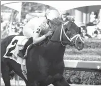  ?? The Sentinel-Record/Richard Rasmussen ?? HEDGE FUND: Jockey Jose Ortiz guides Hedge Fund across the wire to win the $300,000 Essex Handicap for older horses at Oaklawn Park Saturday.