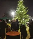  ??  ?? Hell leuchtet der Christbaum auf dem Weihnachts­markt in Stadtberge­n.