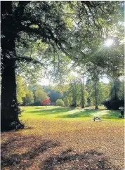  ??  ?? Parklife This brilliant entry from Aiden Friel (12) was shot at Callander House and Park during the October break.