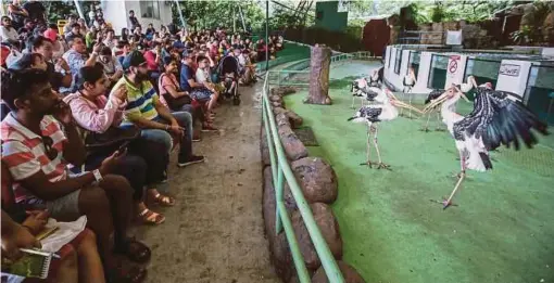  ?? PIC BY HAFIZ SOHAIMI ?? Visitors watching an animal show at Zoo Negara in Kuala Lumpur on Sunday.