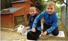  ?? Foto: Christoph Gollinger ?? Paul (8 Jahre alt, rechts) und Theo (6 Jahre alt) freuen sich über ihre Kaninchen Polly (weiß) und Mono (schwarz).